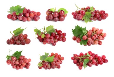Image of Set with fresh ripe grapes on white background