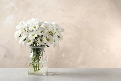 Vase with beautiful chamomile flowers on grey table against beige background. Space for text