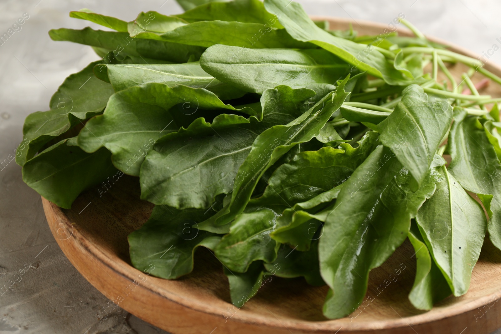 Photo of Wooden plate with fresh sorrel on light grey background, closeup