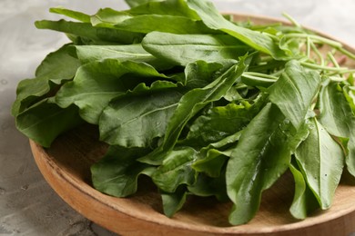 Wooden plate with fresh sorrel on light grey background, closeup