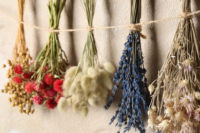 Bunches of beautiful dried flowers hanging on rope near light grey wall, closeup