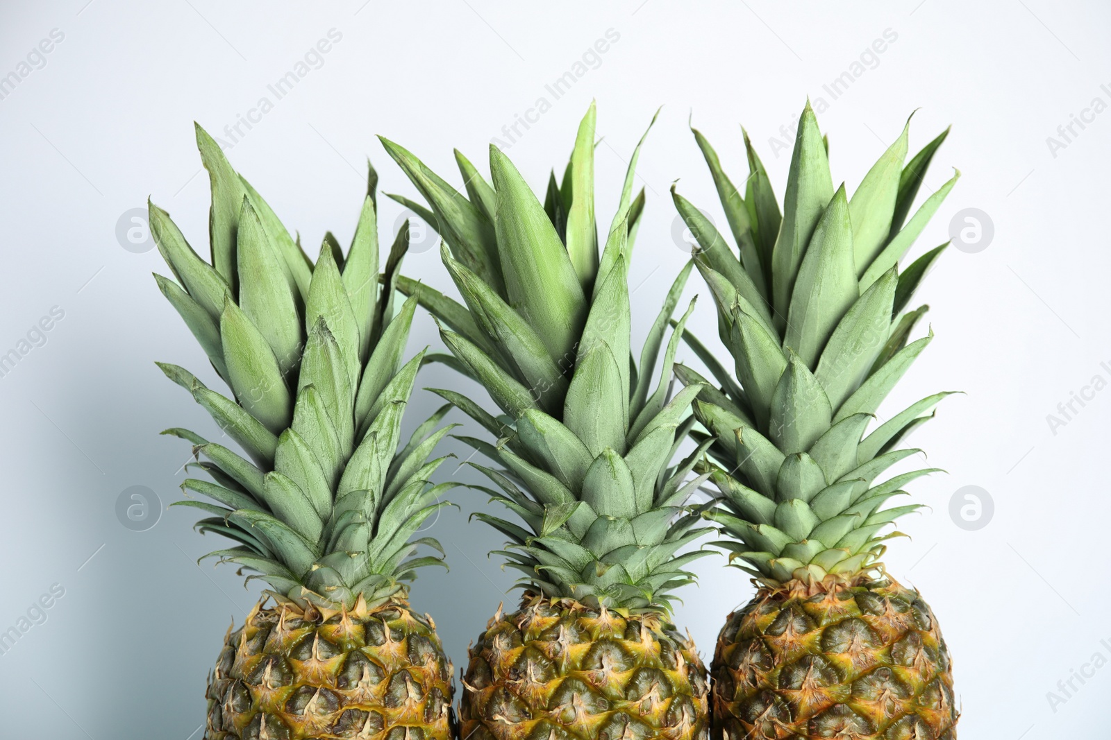 Photo of Fresh ripe juicy pineapples on white background