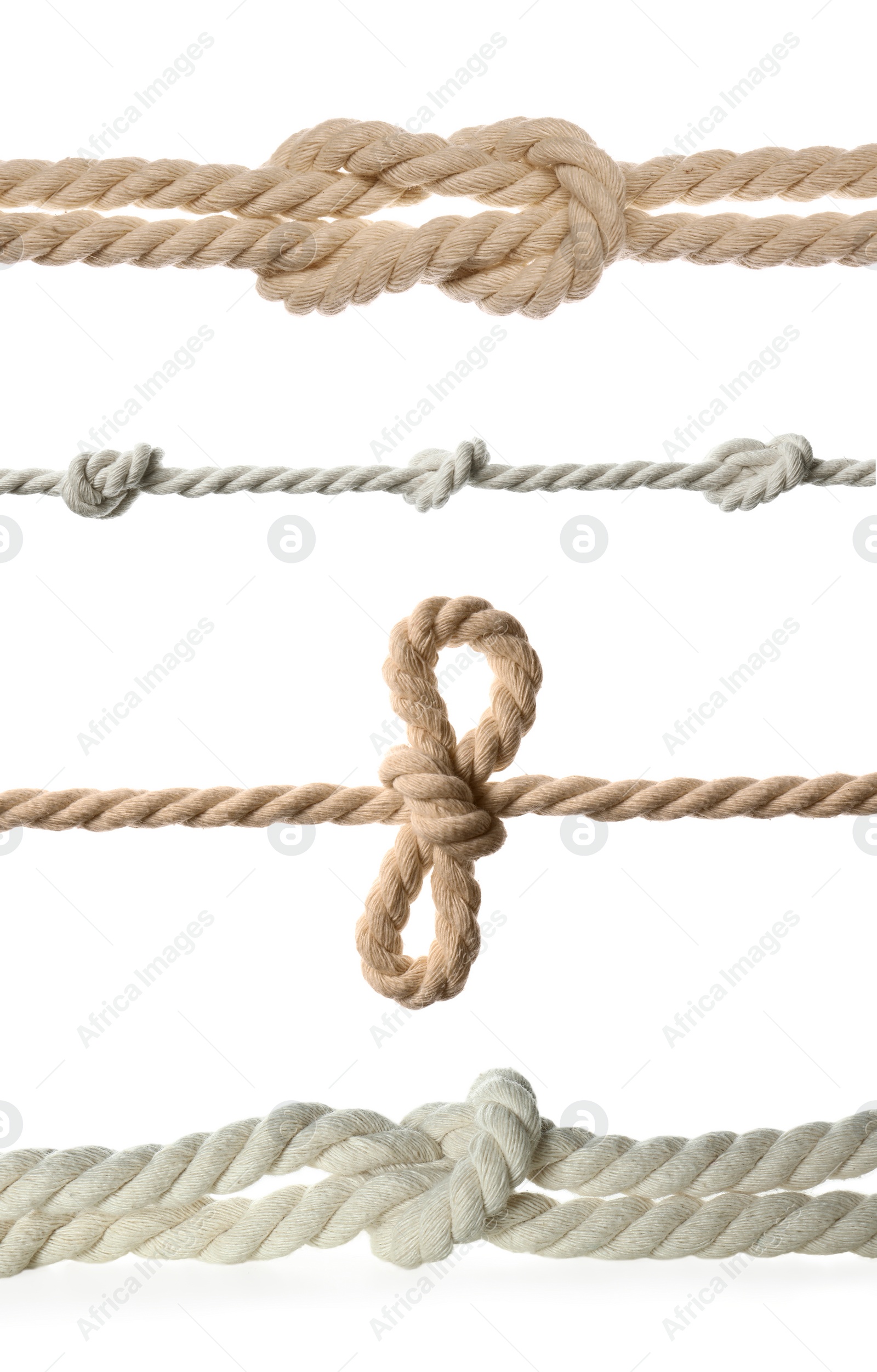 Image of Set of different ropes with knots on white background, closeup