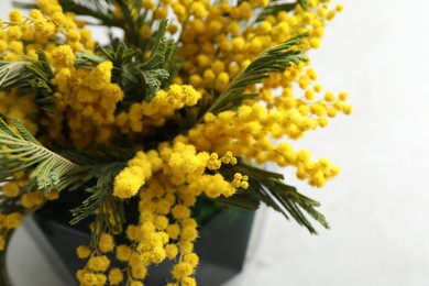 Beautiful mimosa flowers in vase on white table, closeup