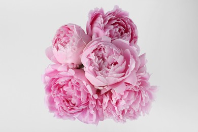Photo of Beautiful peonies on white background, top view