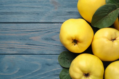 Fresh ripe organic quinces with leaves on blue wooden table, flat lay. Space for text