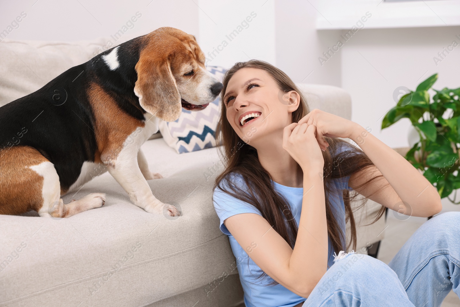 Photo of Happy young woman with her cute Beagle dog at home. Lovely pet