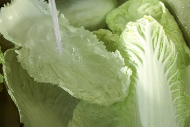 Pouring tap water on Chinese cabbage leaves in sink, closeup