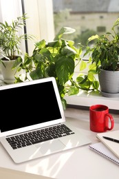 Photo of Laptop and red cup on white desk near window sill with beautiful houseplants