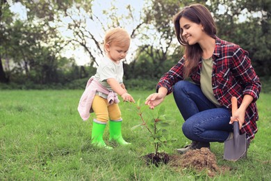 Mother and her baby daughter planting tree together in garden