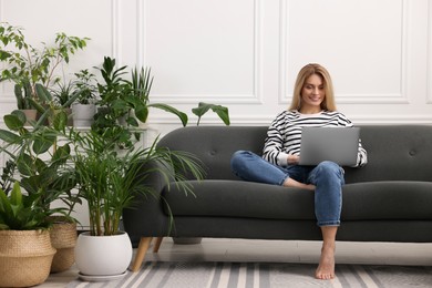 Woman working with laptop on sofa surrounded by beautiful potted houseplants at home