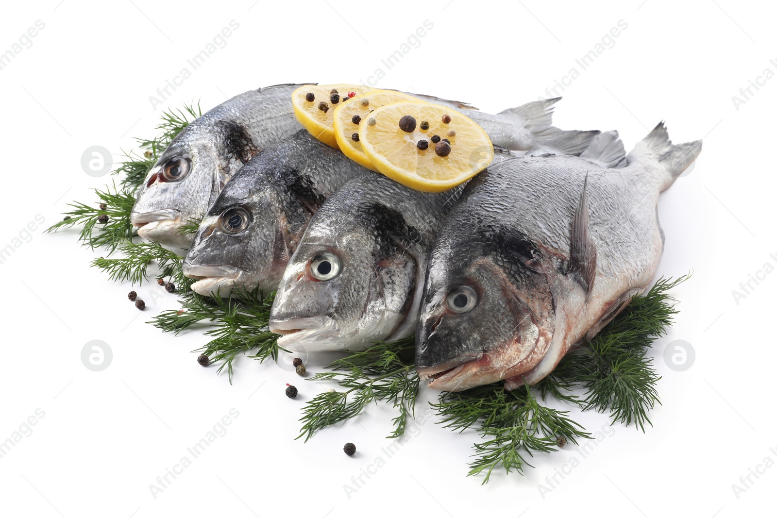 Photo of Raw dorado fish, dill, lemon slices and peppercorns isolated on white