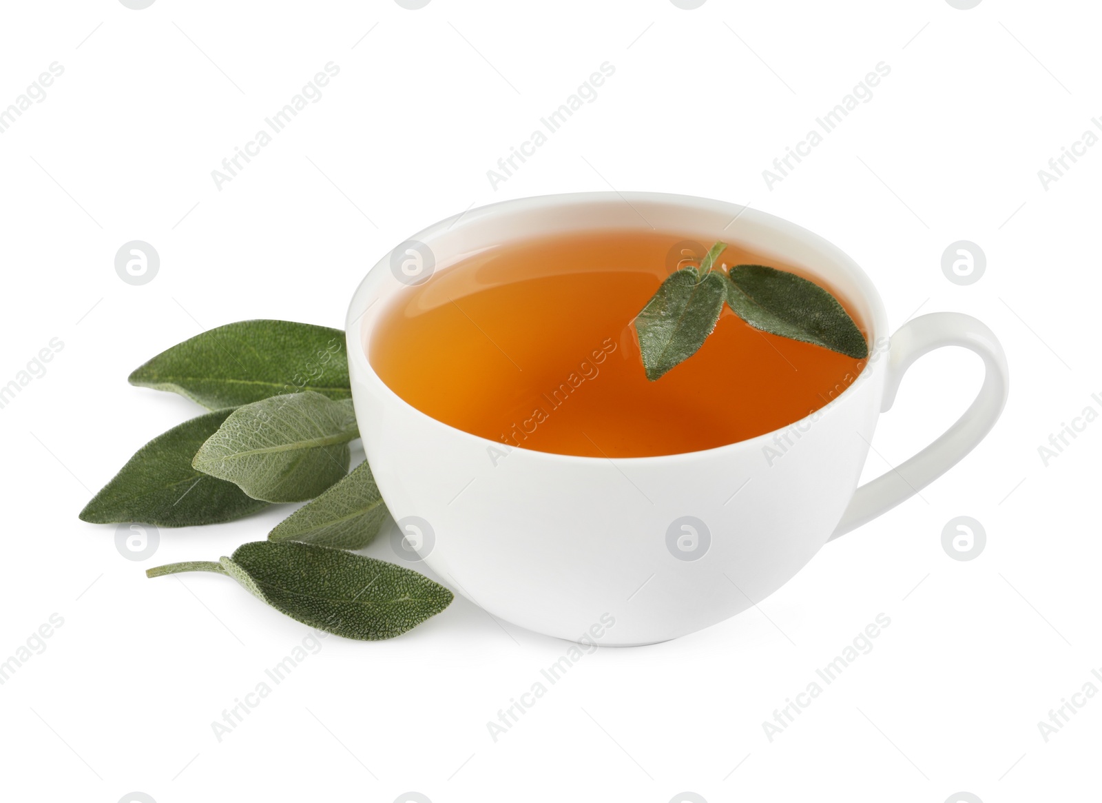 Photo of Cup of aromatic sage tea and fresh leaves on white background