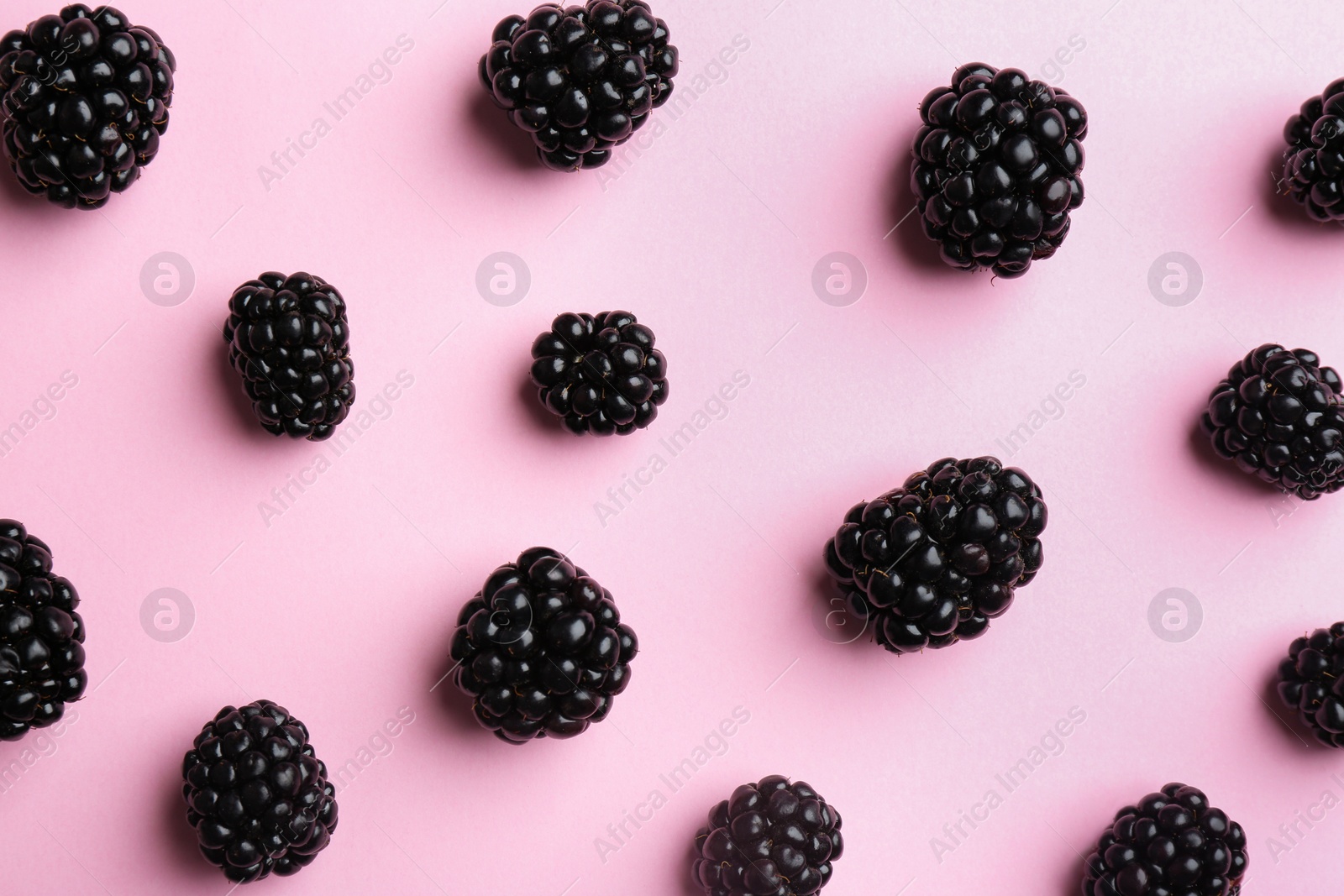 Photo of Flat lay composition with fresh blackberries on pink background