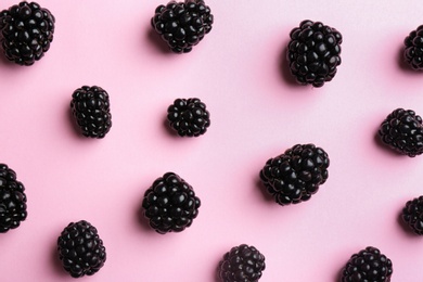 Flat lay composition with fresh blackberries on pink background