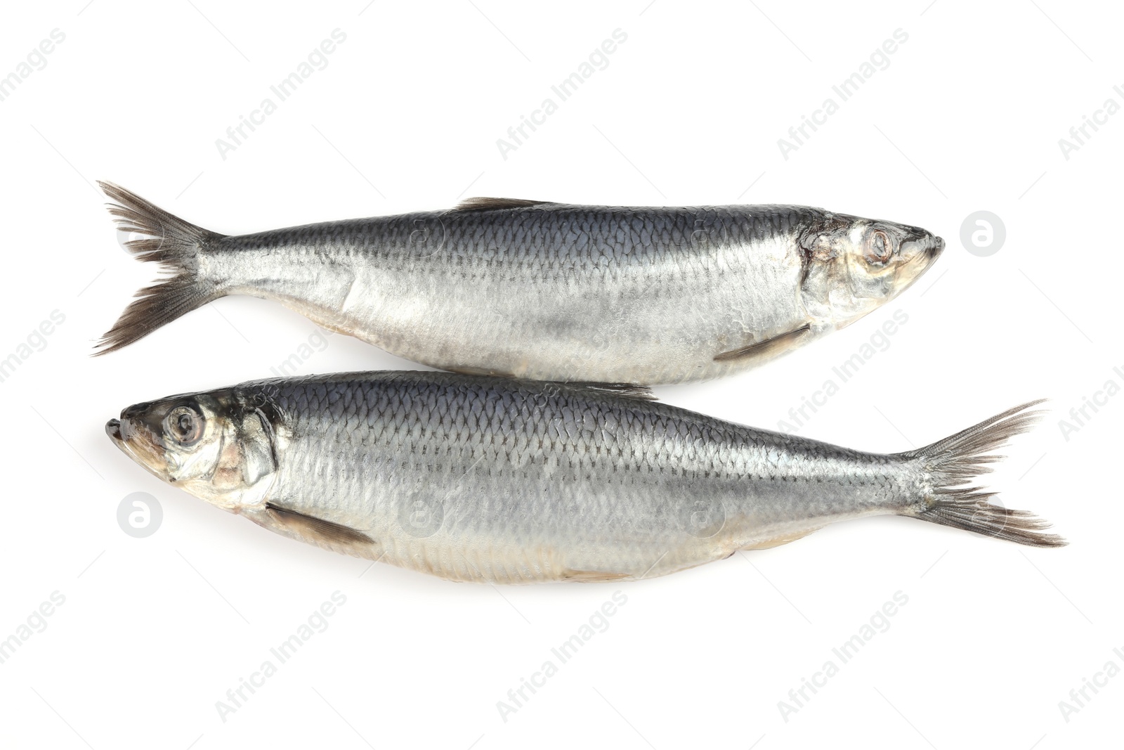 Photo of Delicious whole salted herrings isolated on white, top view