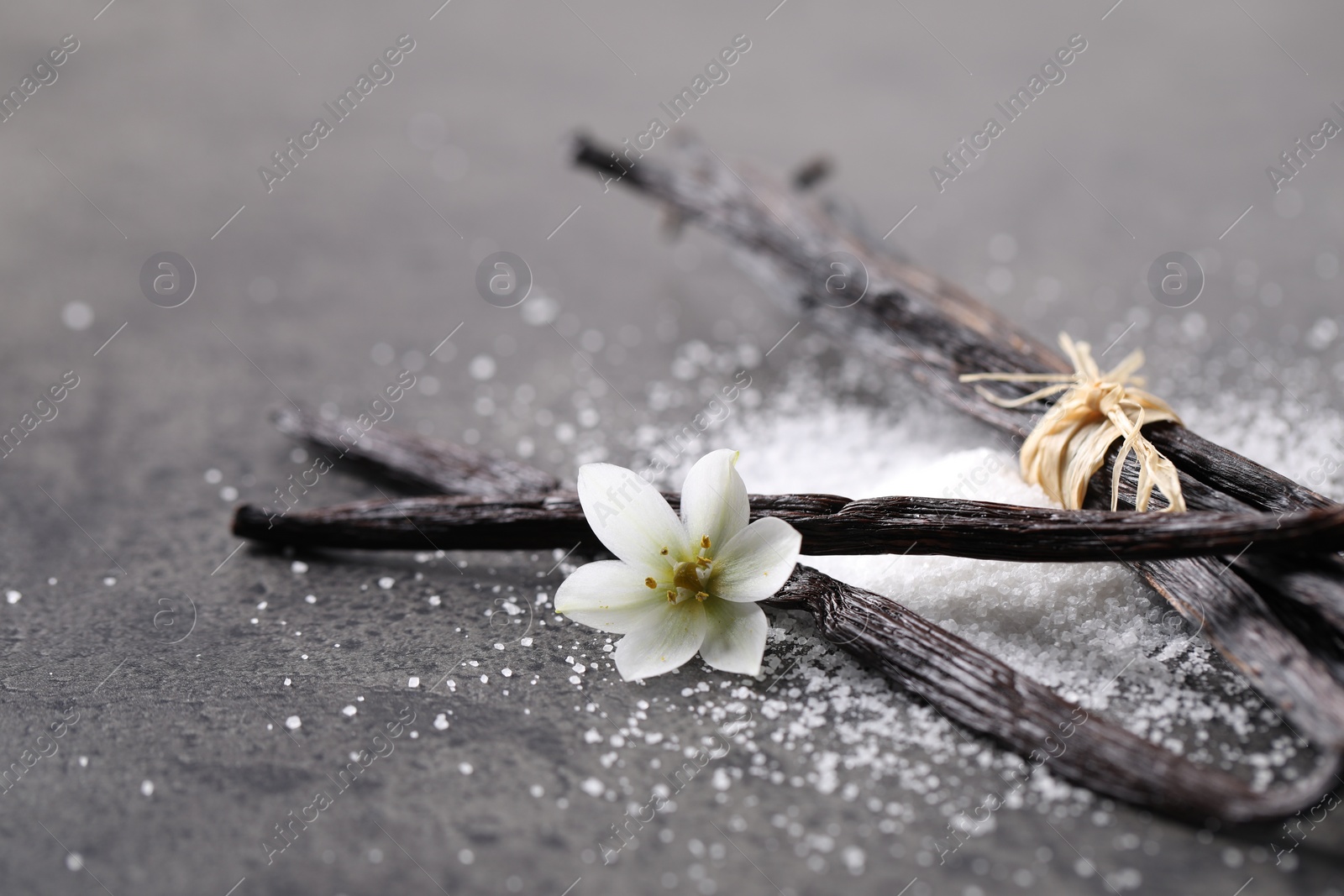 Photo of Vanilla pods, sugar and flower on gray table, closeup