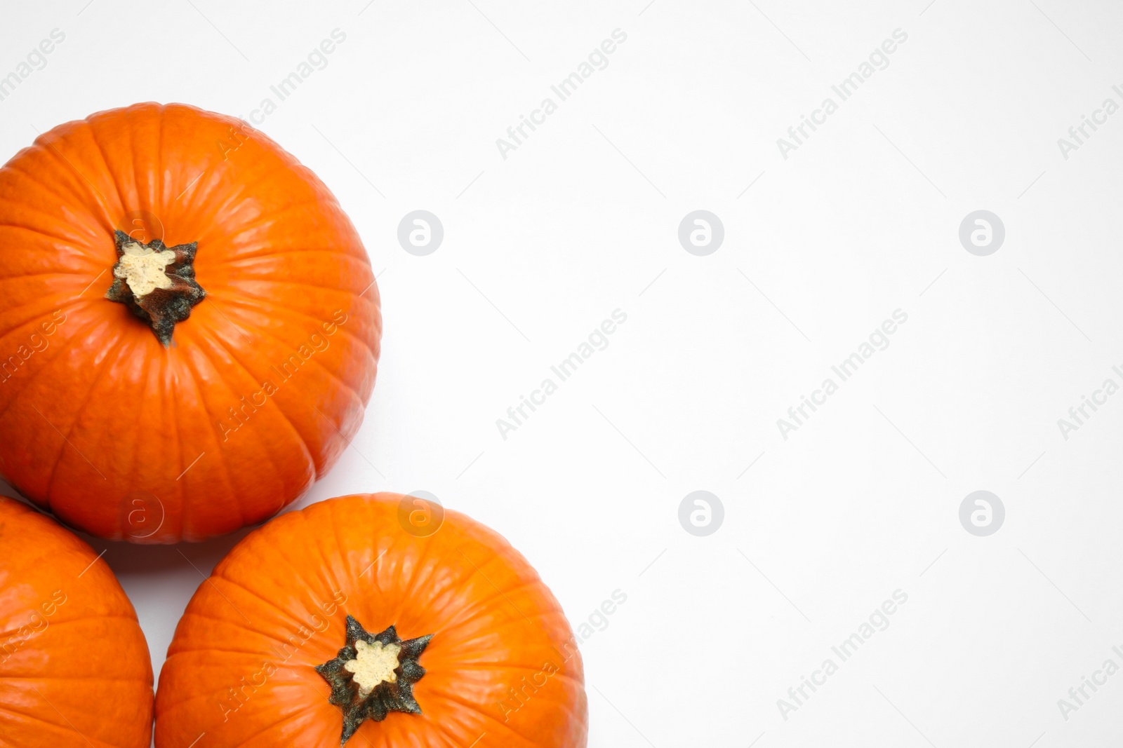 Photo of Fresh ripe pumpkins on white background, top view. Space for text