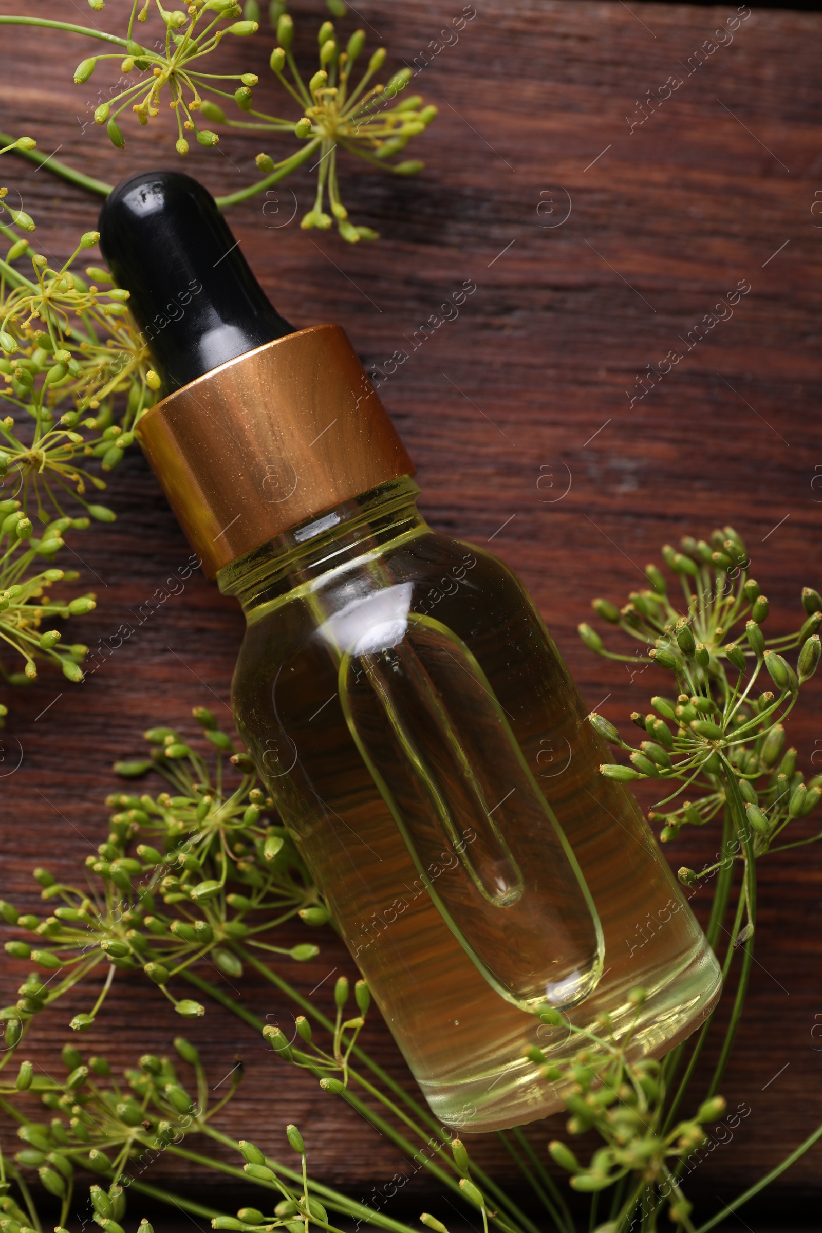 Photo of Bottle of essential oil and fresh dill on wooden table, flat lay