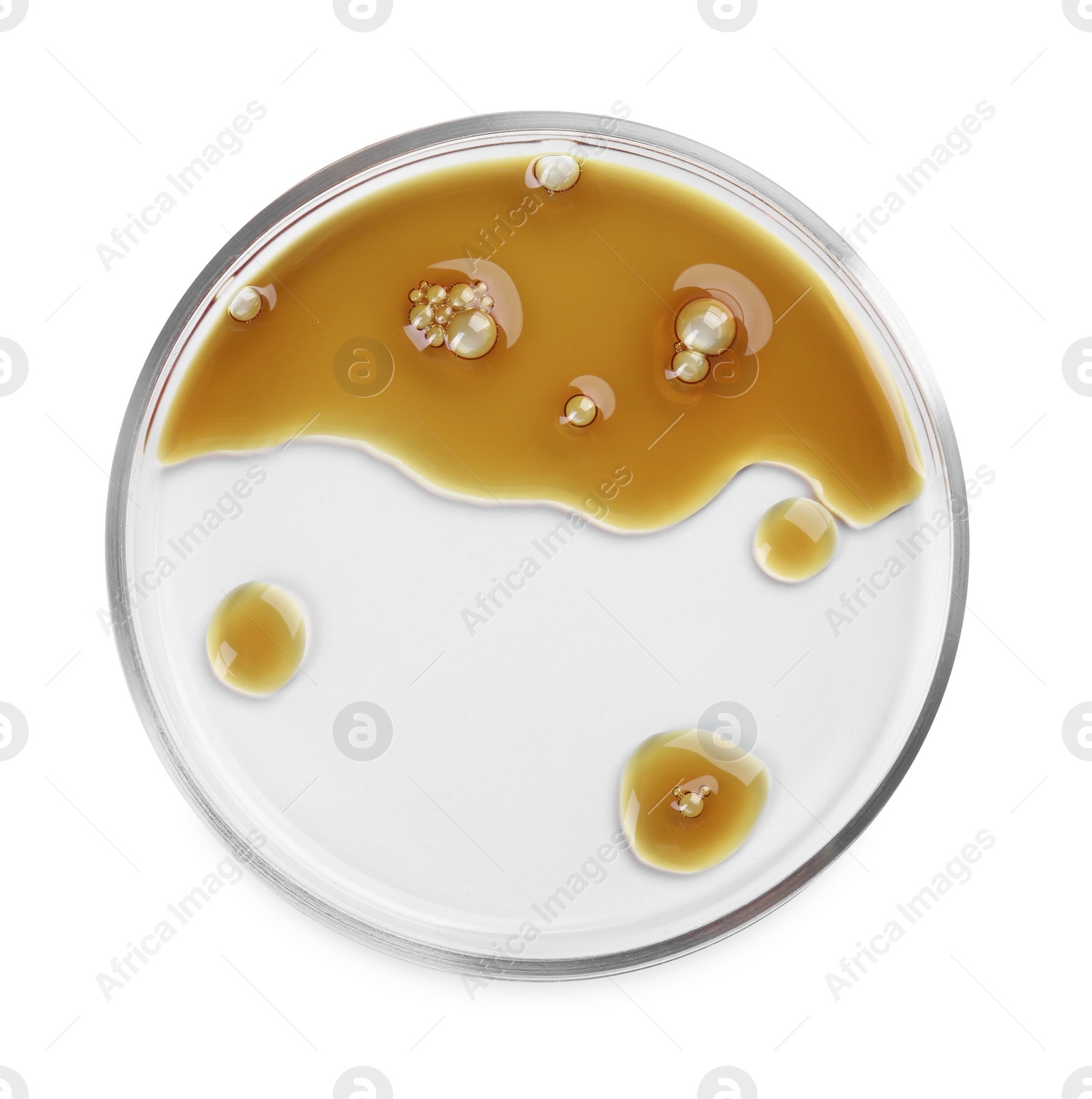 Photo of Petri dish with color liquid sample isolated on white, top view