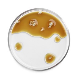 Photo of Petri dish with color liquid sample isolated on white, top view