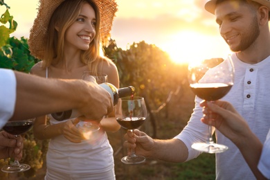 Photo of Friends tasting red wine in vineyard on sunny day, closeup