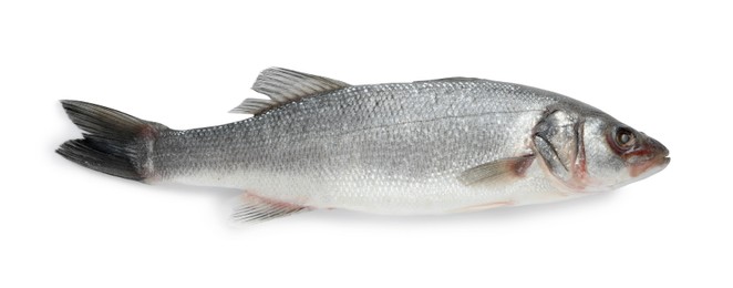 Photo of Fresh sea bass fish isolated on white, top view