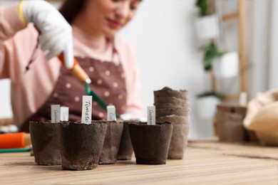 Growing vegetable seeds. Woman adding soil into containers at wooden table indoors, focus on peat pots. Space for text
