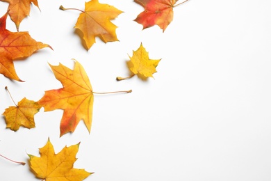 Flat lay composition with autumn leaves on white background. Space for text