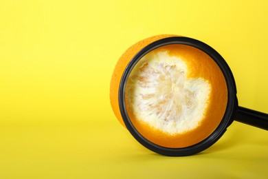 Cellulite problem. Orange and magnifying glass on yellow background, space for text
