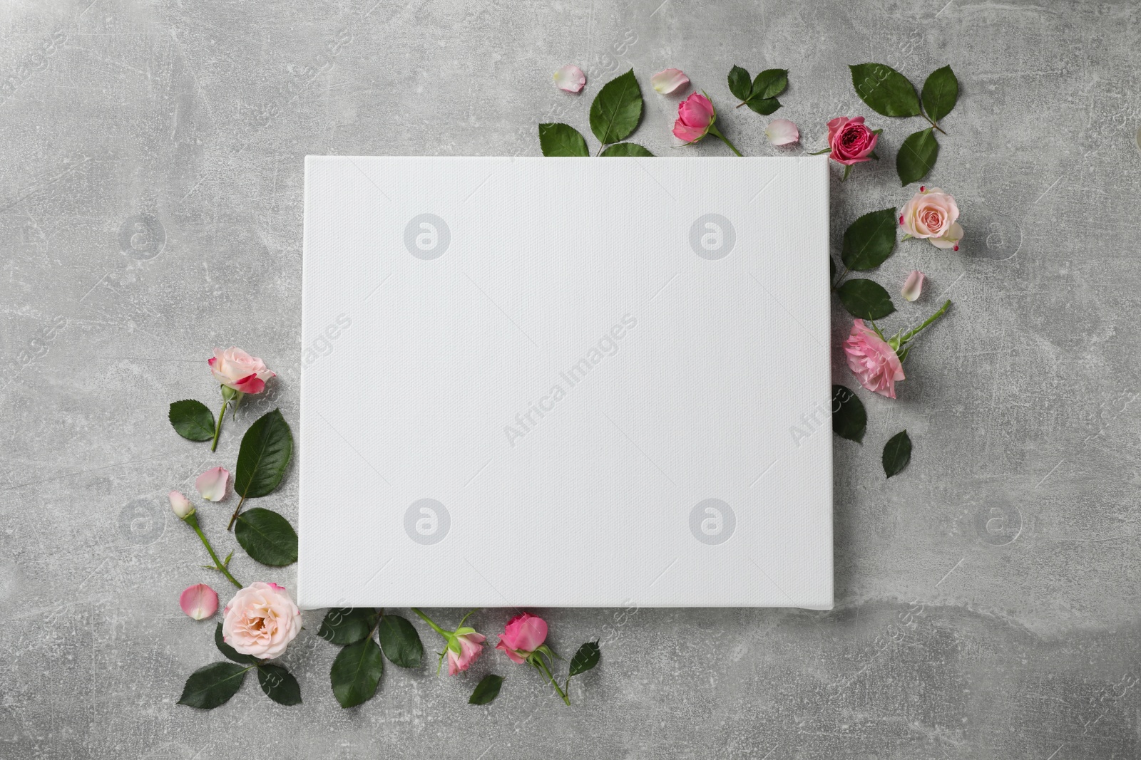 Photo of Flat lay composition with blank canvas and beautiful roses on grey background. Mockup for design