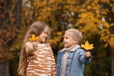 Portrait of happy children with autumn dry leaves in park