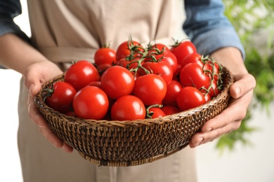 Woman holding wicker bowl with ripe cherry tomatoes, closeup