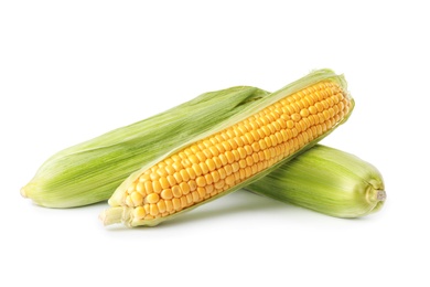 Photo of Ripe raw corn cobs with husk on white background