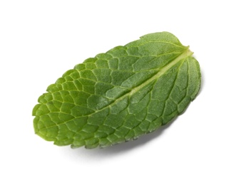 Photo of Leaf of fresh mint isolated on white