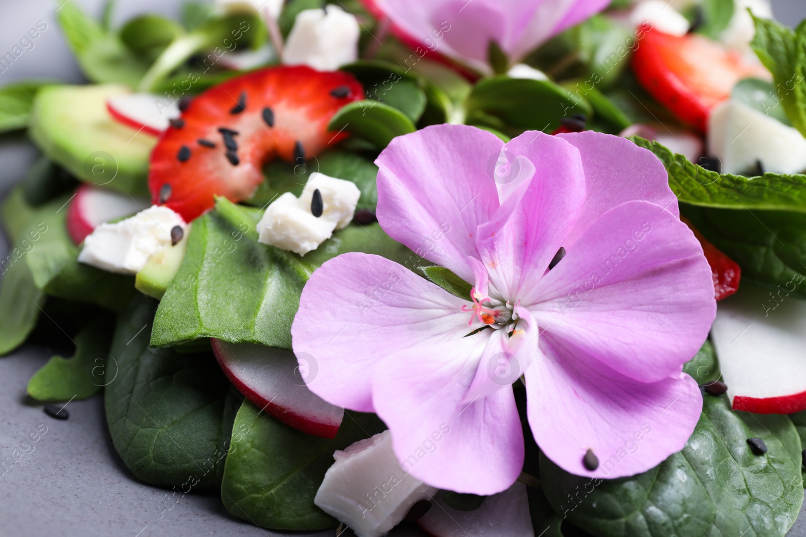 Photo of Fresh spring salad with flower on plate, closeup