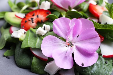 Fresh spring salad with flower on plate, closeup