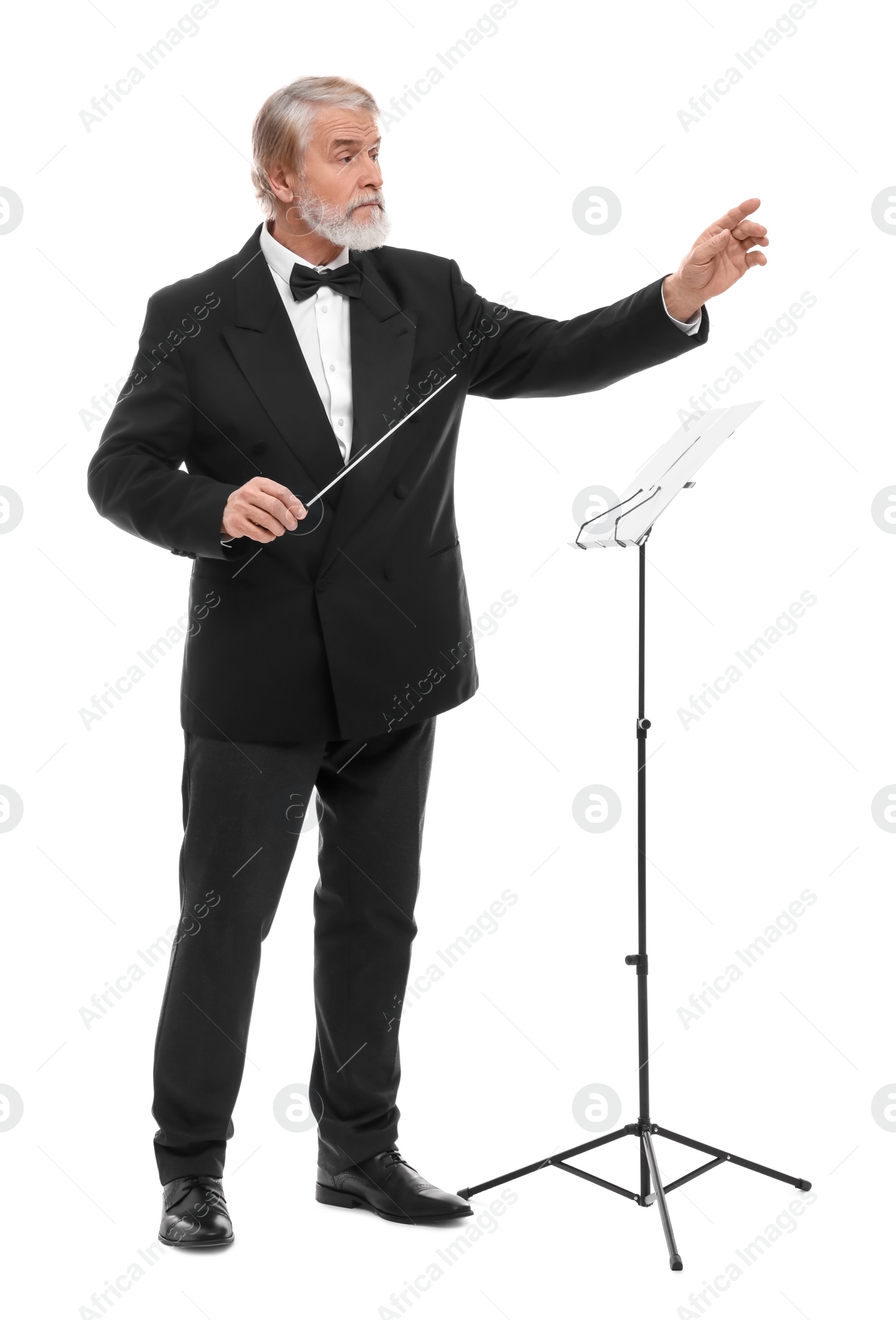 Photo of Professional conductor with baton on white background