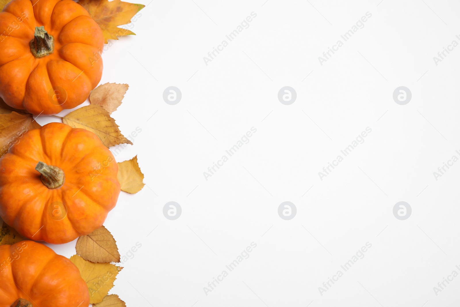 Photo of Composition with pumpkins and autumn leaves on white background, top view