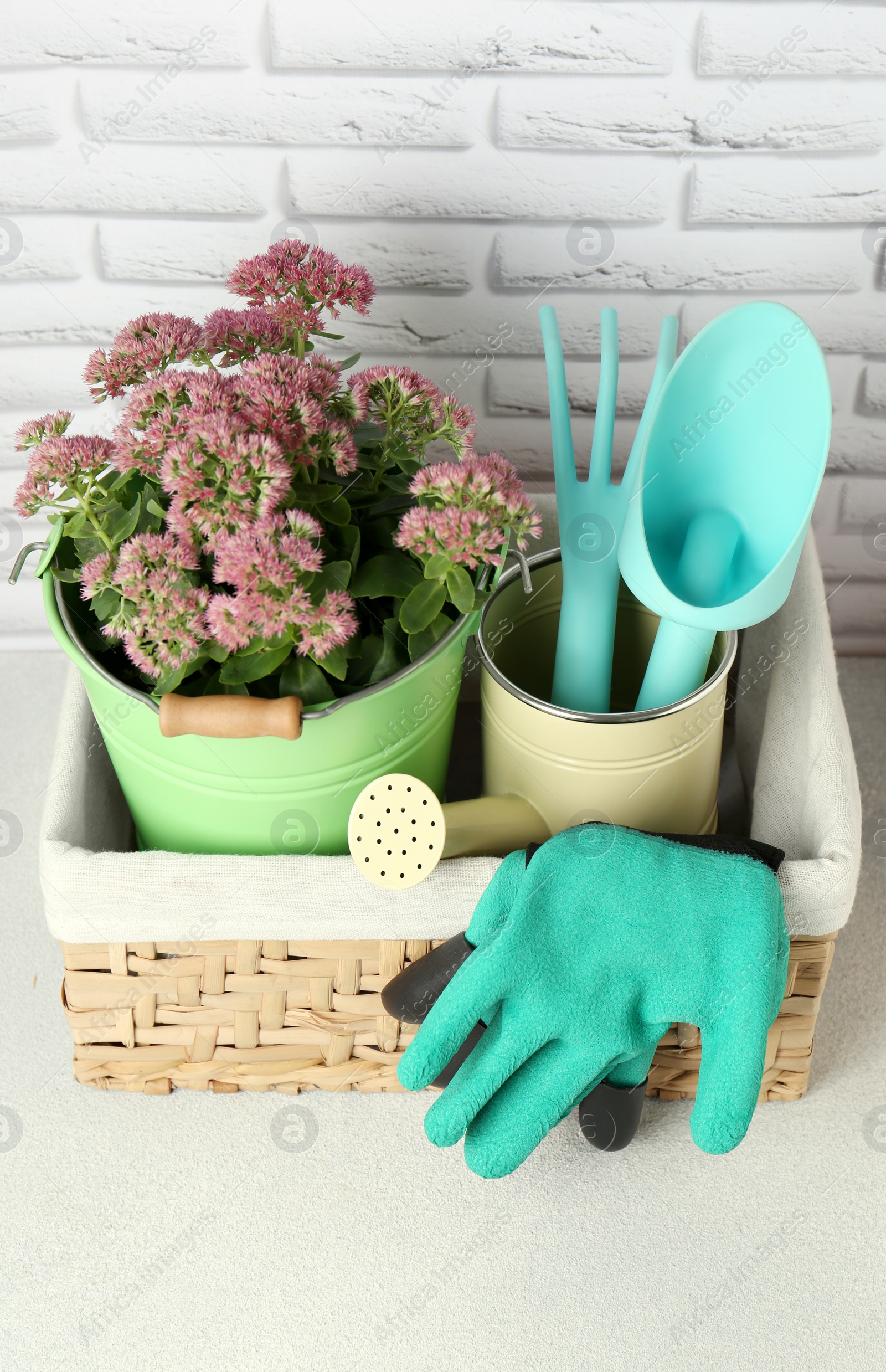 Photo of Basket with watering can, gardening tools and beautiful plant on table near white brick wall