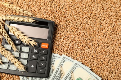 Dollar banknotes, calculator and wheat ears on grains, top view. Agricultural business