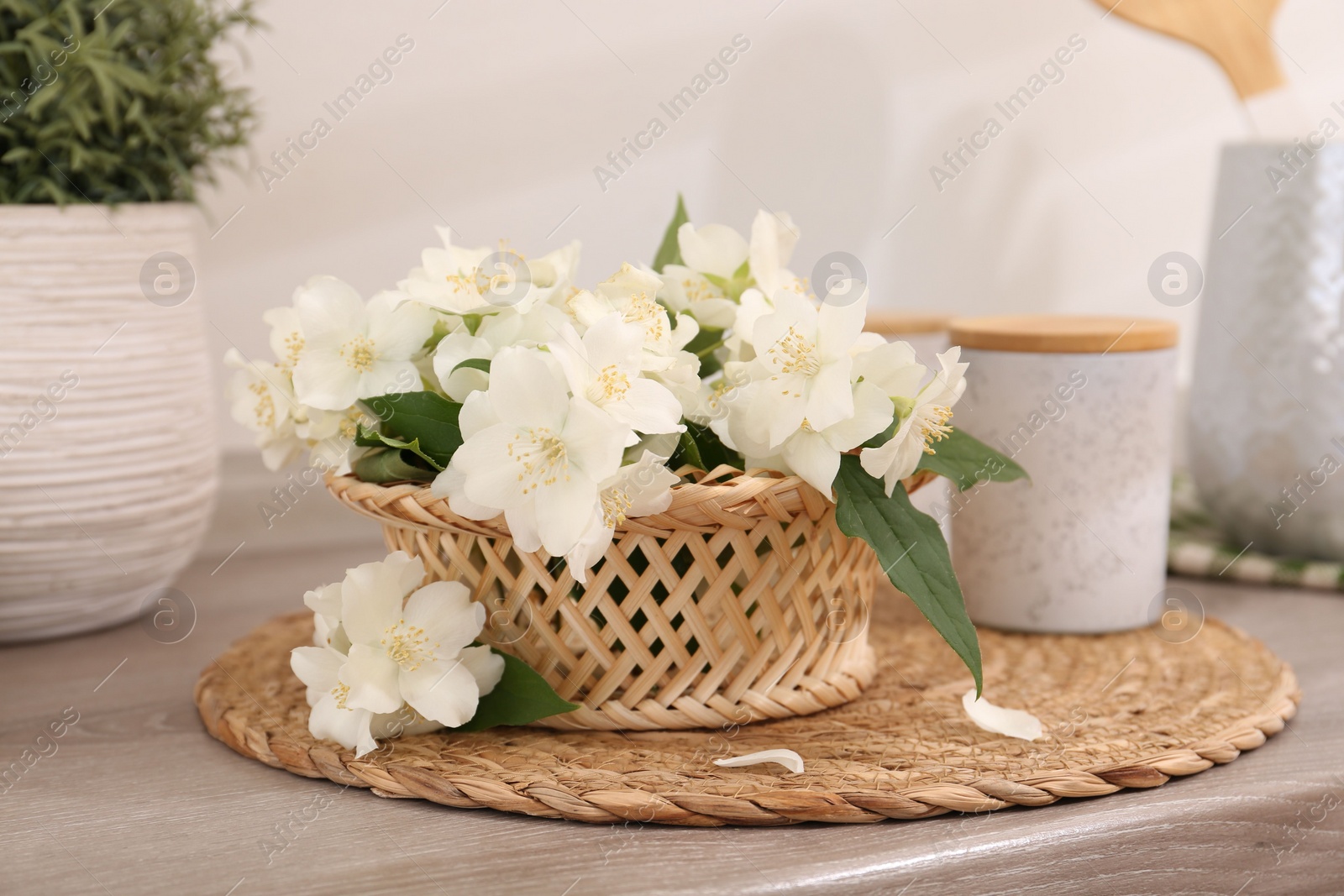 Photo of Beautiful jasmine flowers on wooden table indoors