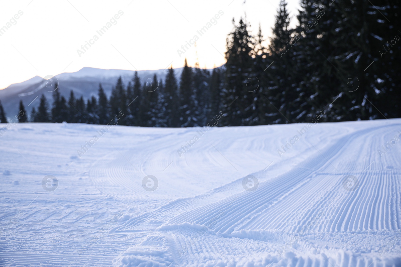 Photo of Empty road covered with snow on winter day