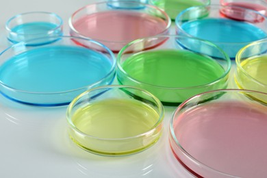Photo of Petri dishes with colorful liquids on white table, closeup