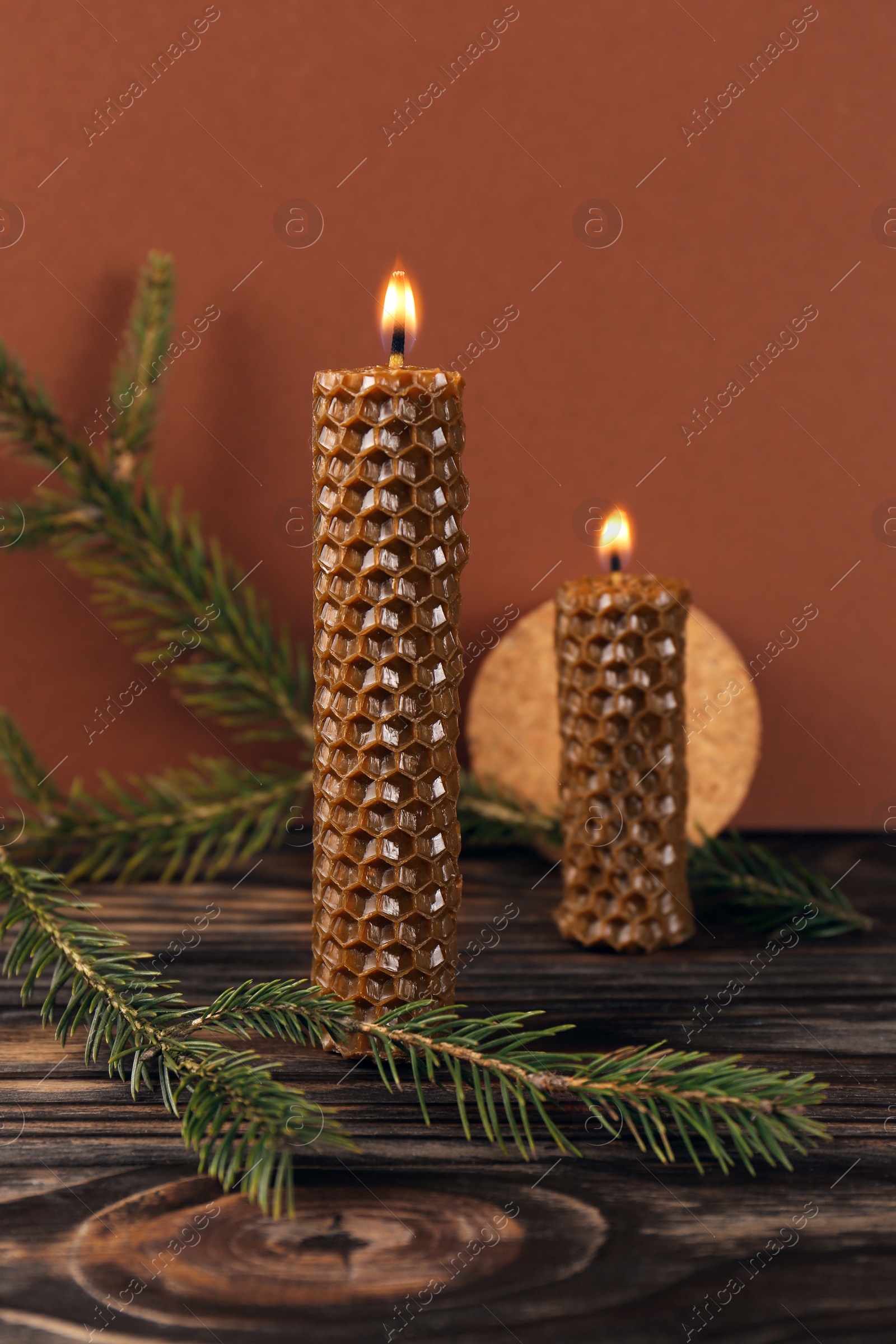 Photo of Stylish burning beeswax candles with spruce branches on wooden table