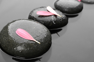 Photo of Spa stones with pink flower petals in water. Zen lifestyle