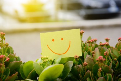 Note with funny face among beautiful plants against blurred background