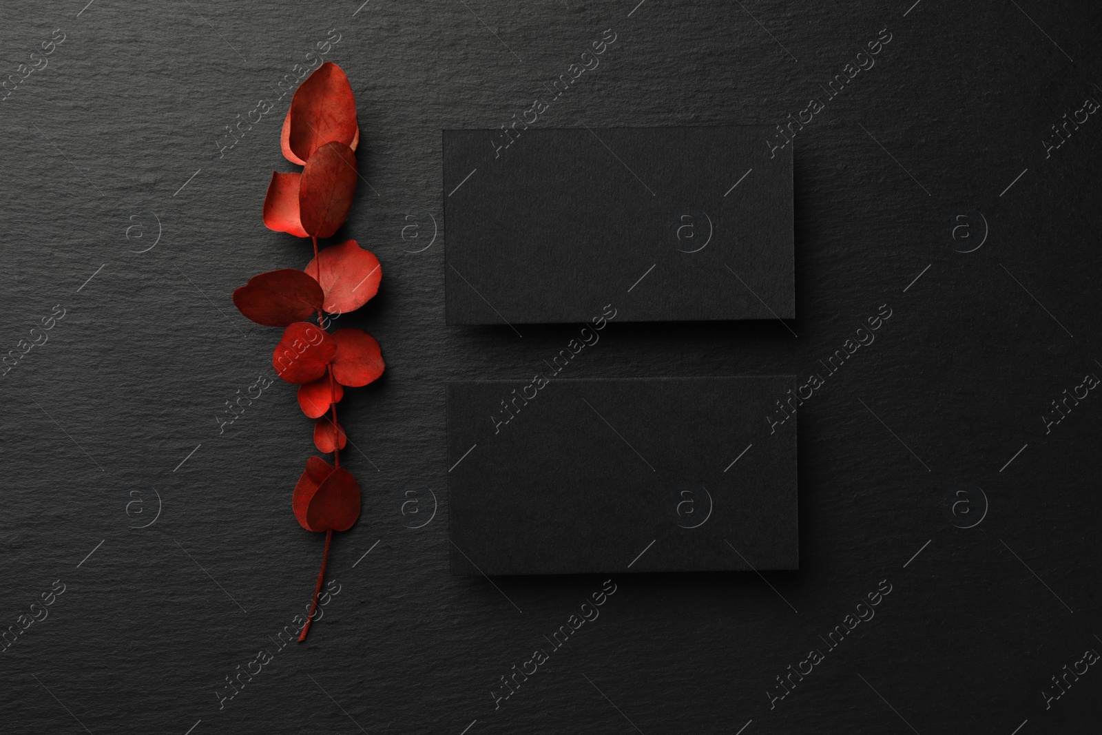 Photo of Blank business cards and red eucalyptus branch on black background, flat lay. Mockup for design