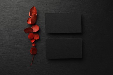 Photo of Blank business cards and red eucalyptus branch on black background, flat lay. Mockup for design
