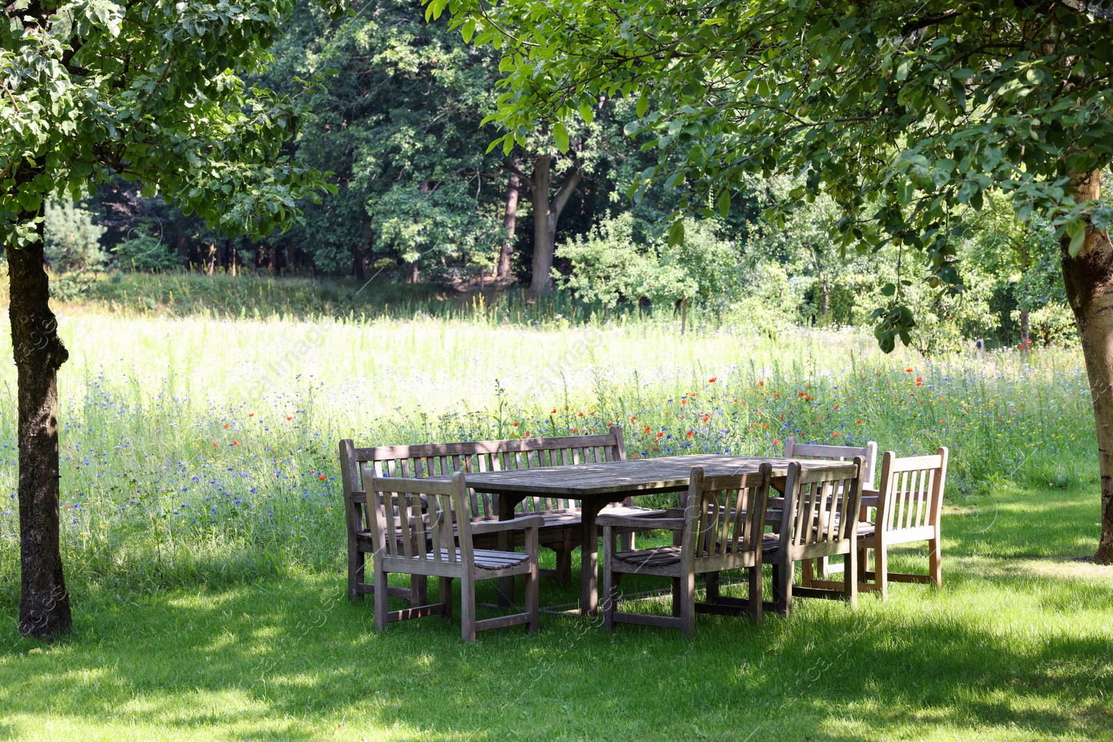 Photo of Empty wooden table with bench and chairs in garden